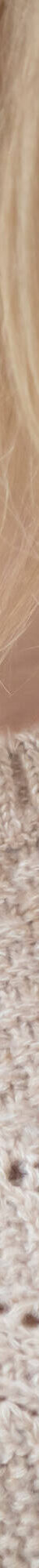 Trui met ronde hals in fantasietricot (chiné beige) Trui met ronde hals in fantasietricot (chiné beige)
